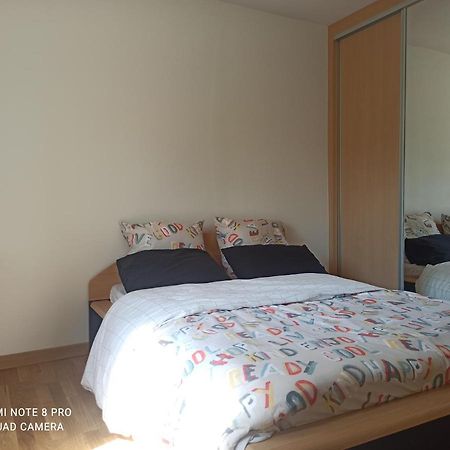 Super Appartement Avec Terasse Bischheim Bagian luar foto