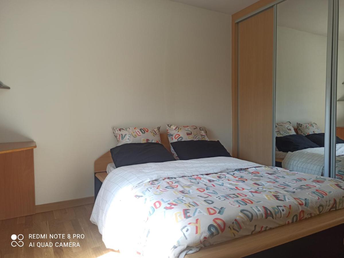 Super Appartement Avec Terasse Bischheim Bagian luar foto