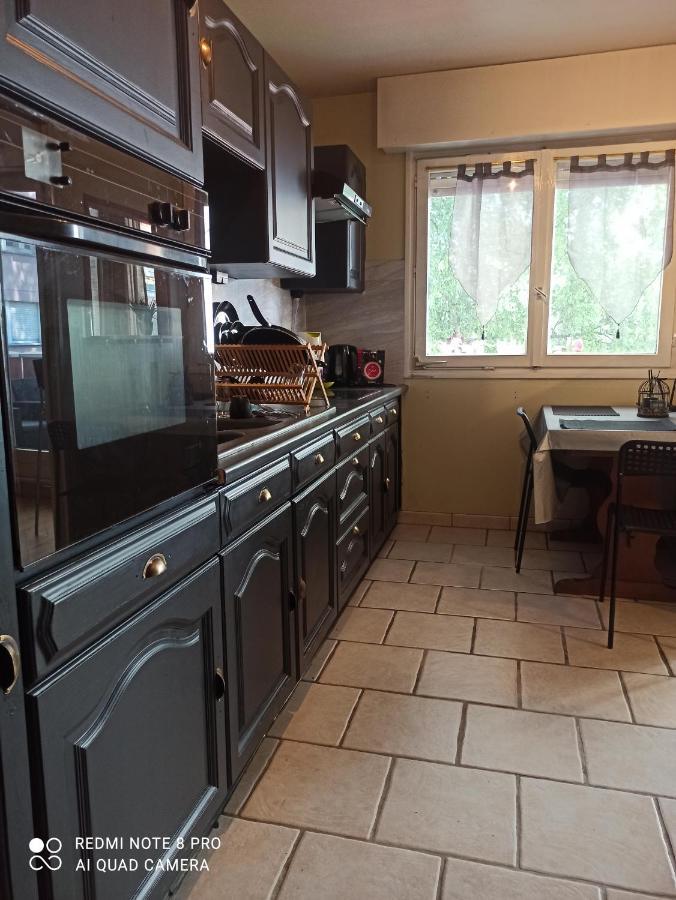 Super Appartement Avec Terasse Bischheim Bagian luar foto
